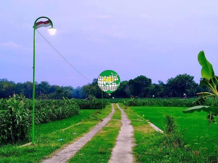 Supplier Tiang PJU Murah